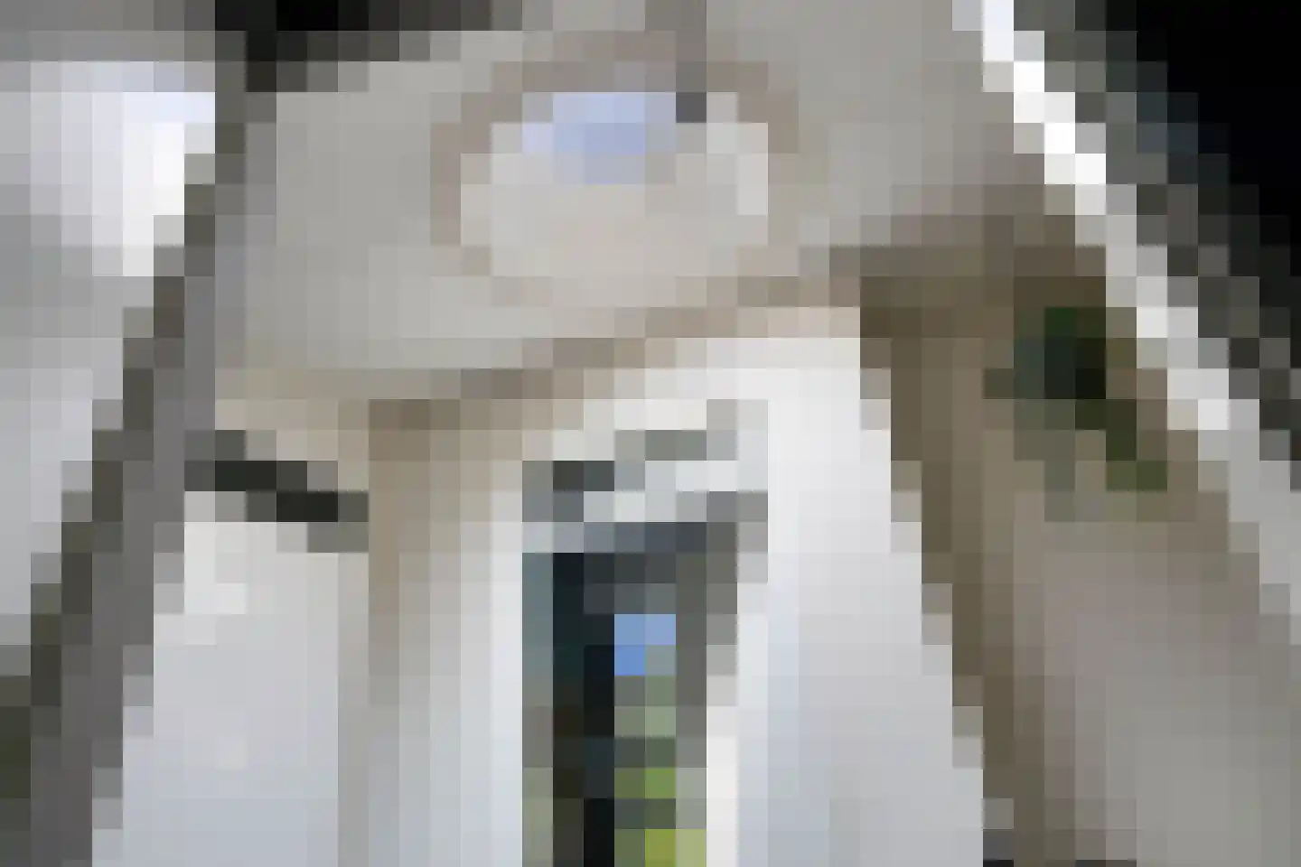 Humsterlandlaan 11 Groningen thumbnail 37
