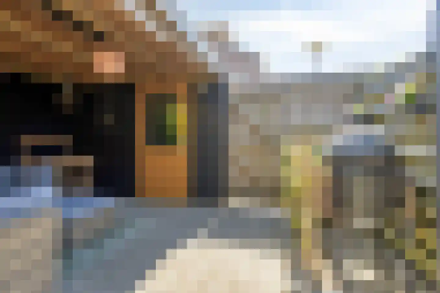 Humsterlandlaan 11 Groningen thumbnail 41