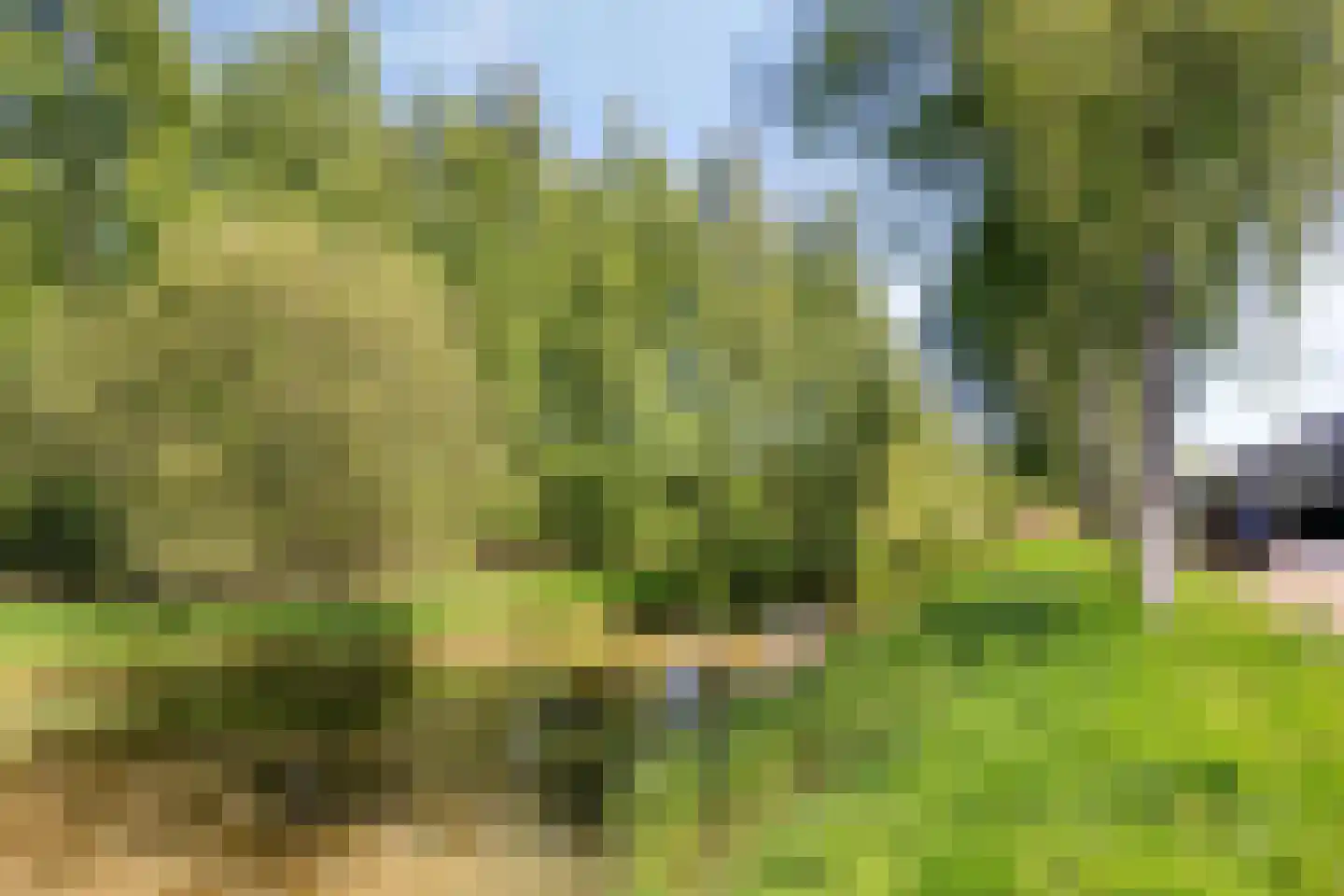 Humsterlandlaan 11 Groningen thumbnail 47