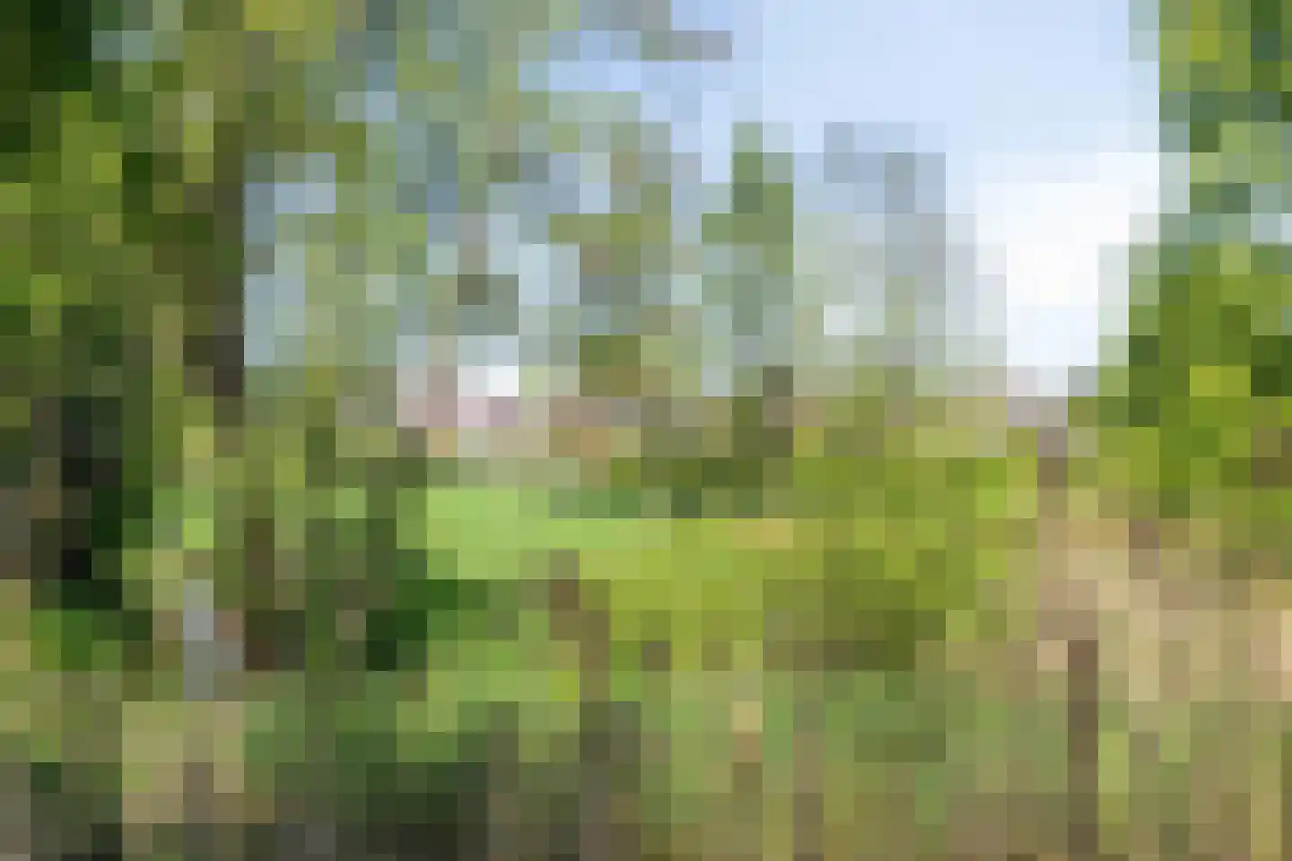 Humsterlandlaan 11 Groningen thumbnail 48
