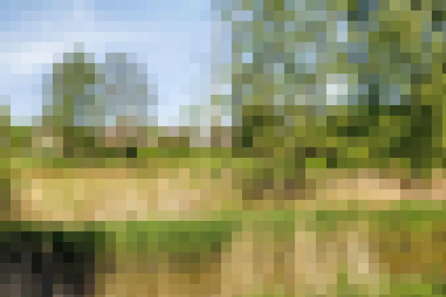 Humsterlandlaan 11 Groningen thumbnail 49