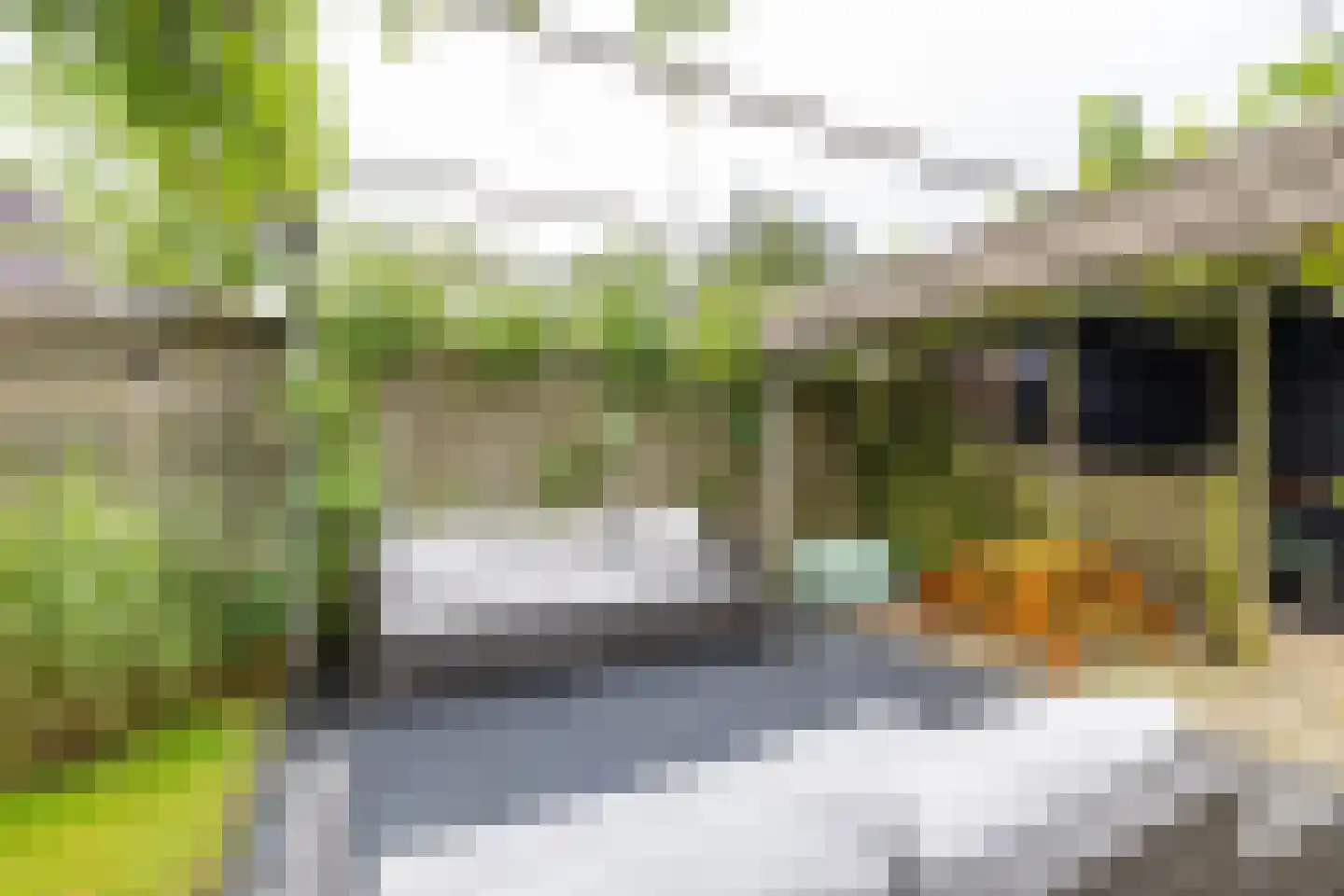 Humsterlandlaan 19 Groningen thumbnail 25