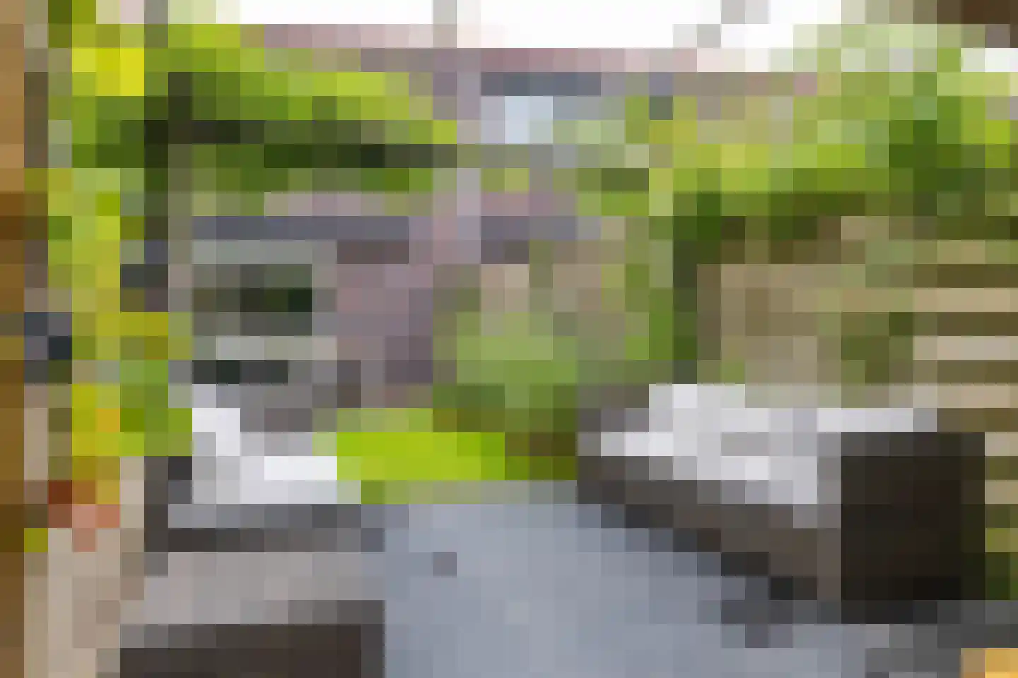 Humsterlandlaan 19 Groningen thumbnail 28