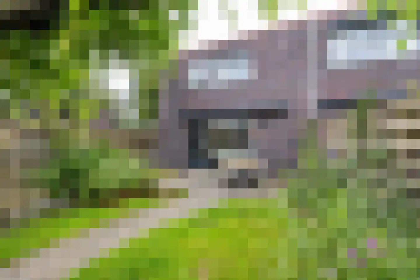 Humsterlandlaan 19 Groningen thumbnail 29