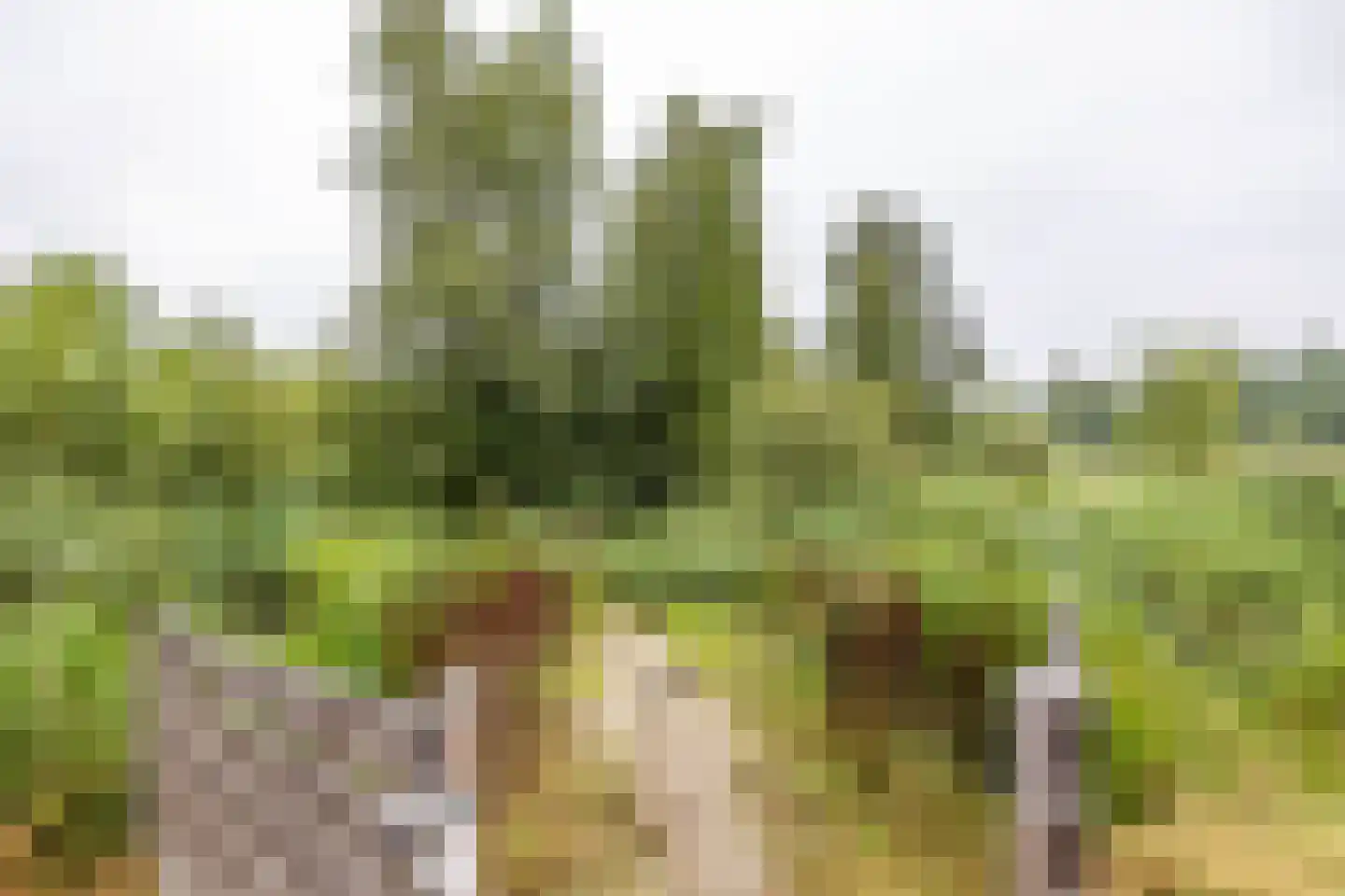 Humsterlandlaan 19 Groningen thumbnail 46
