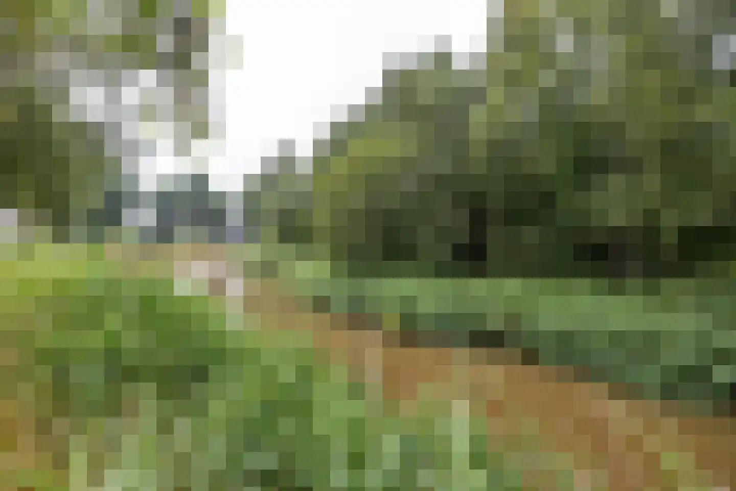 Humsterlandlaan 19 Groningen thumbnail 47
