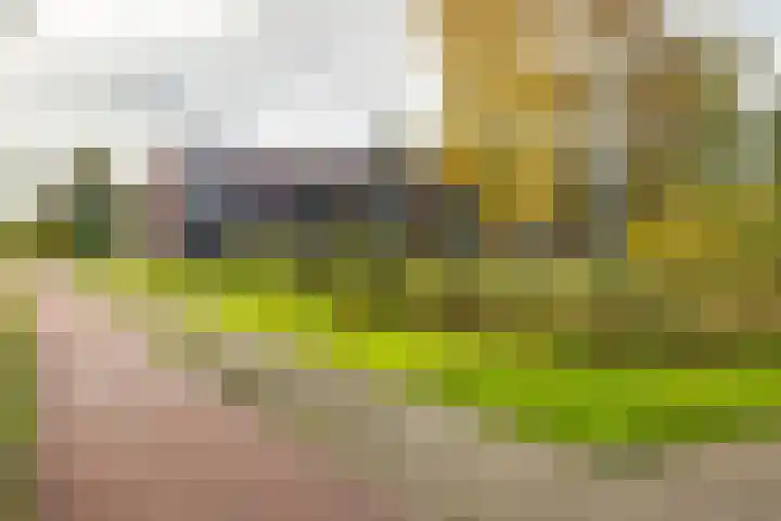 Humsterlandlaan 24 in Groningen