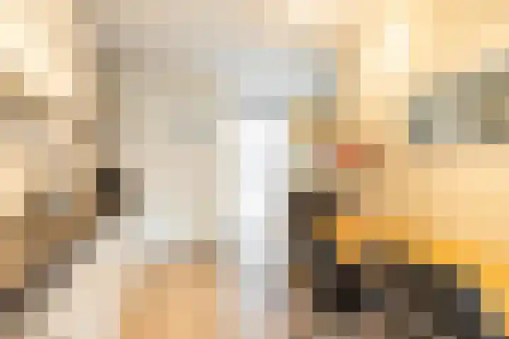 Humsterlandlaan 24 Groningen thumbnail 12