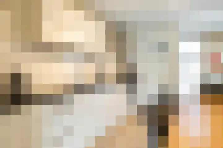 Humsterlandlaan 24 Groningen thumbnail 13