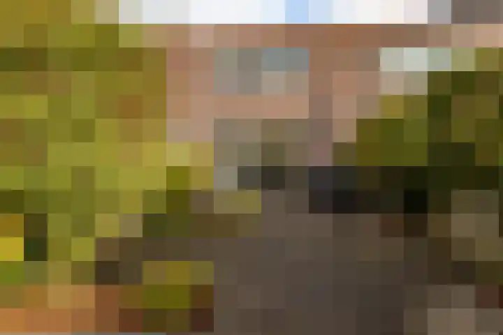 Humsterlandlaan 24 Groningen thumbnail 30
