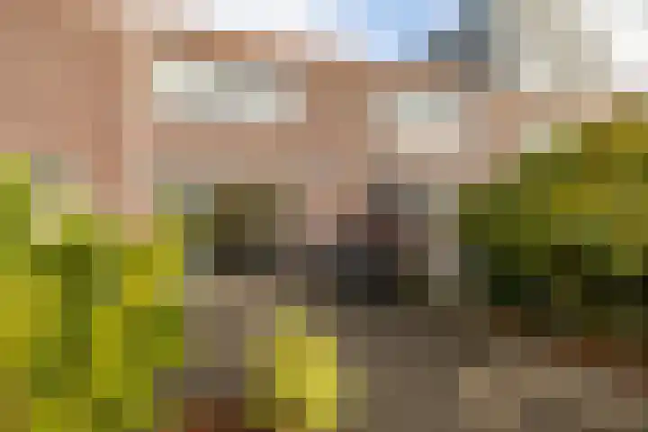 Humsterlandlaan 24 Groningen thumbnail 32