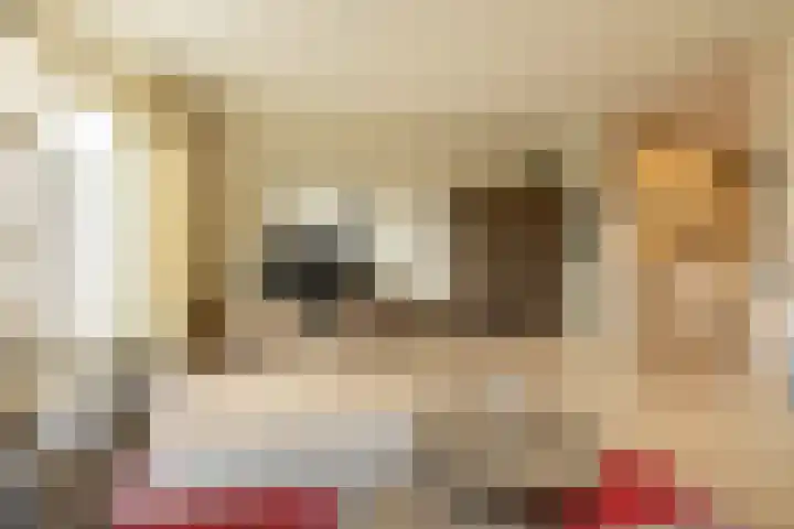 Humsterlandlaan 24 Groningen thumbnail 7