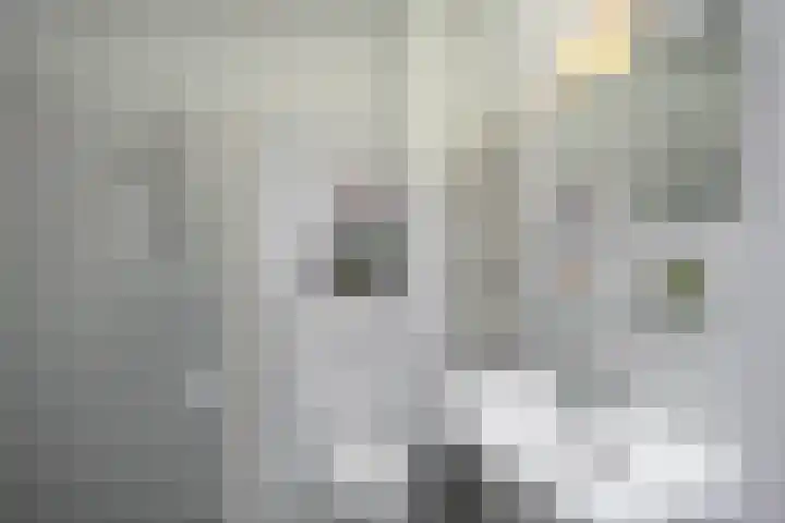Humsterlandlaan 3 Groningen thumbnail 22