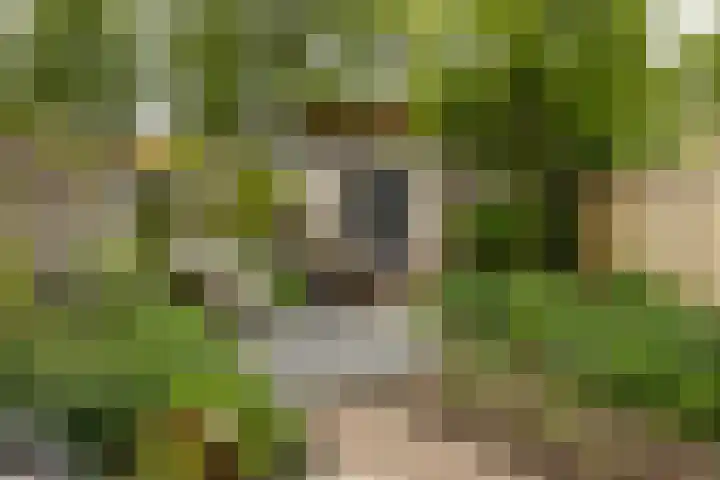 Humsterlandlaan 3 Groningen thumbnail 24