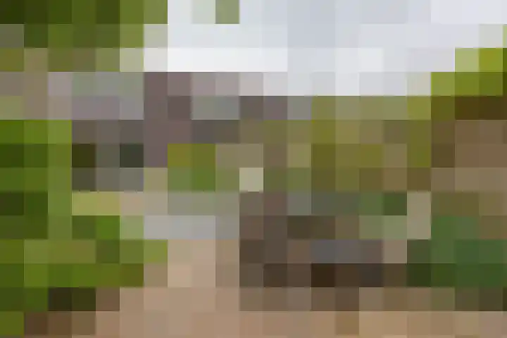 Humsterlandlaan 3 Groningen thumbnail 25