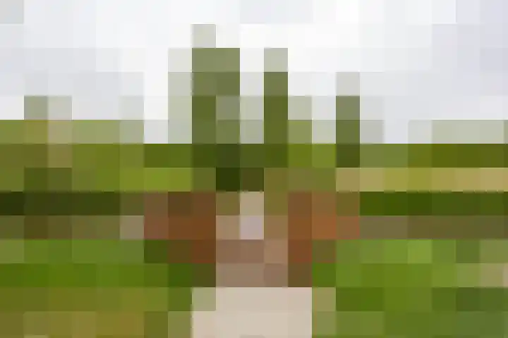 Humsterlandlaan 3 Groningen thumbnail 26