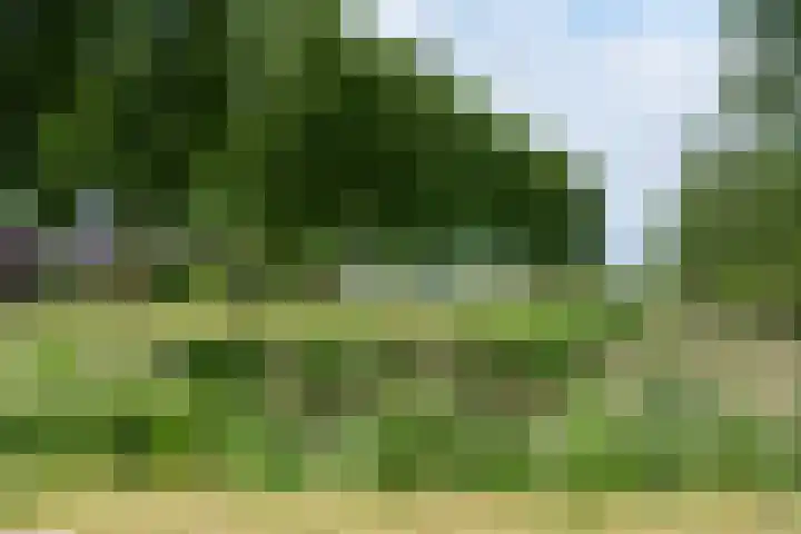Humsterlandlaan 3 Groningen thumbnail 28