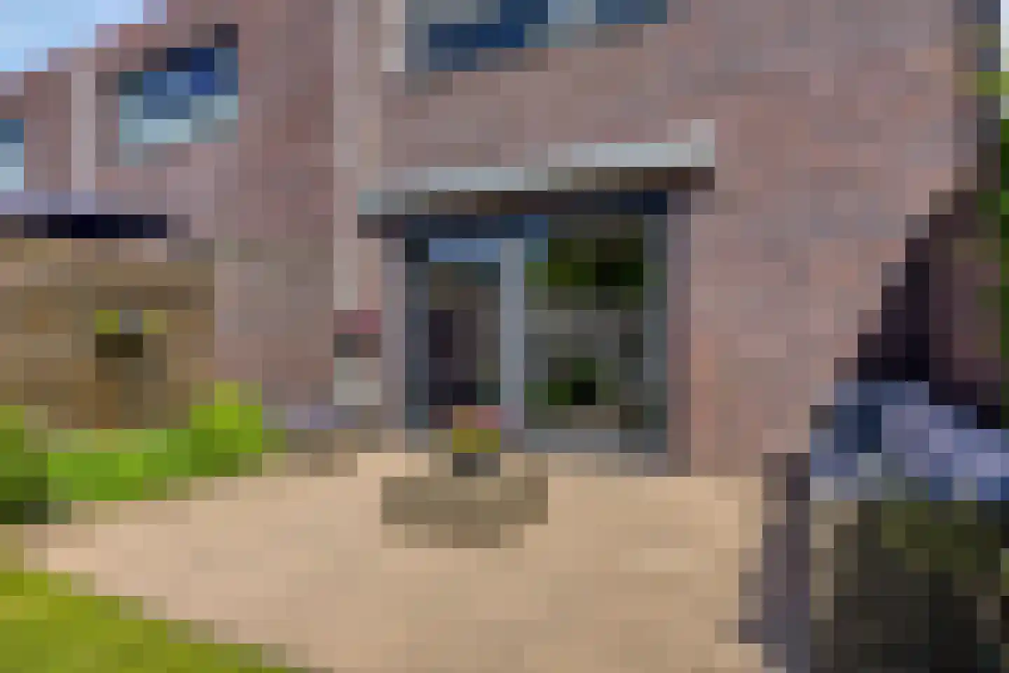 Humsterlandlaan 30 Groningen thumbnail 34
