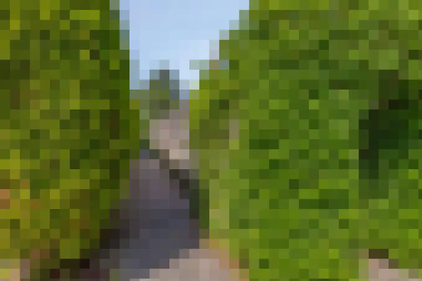 Humsterlandlaan 30 Groningen thumbnail 38