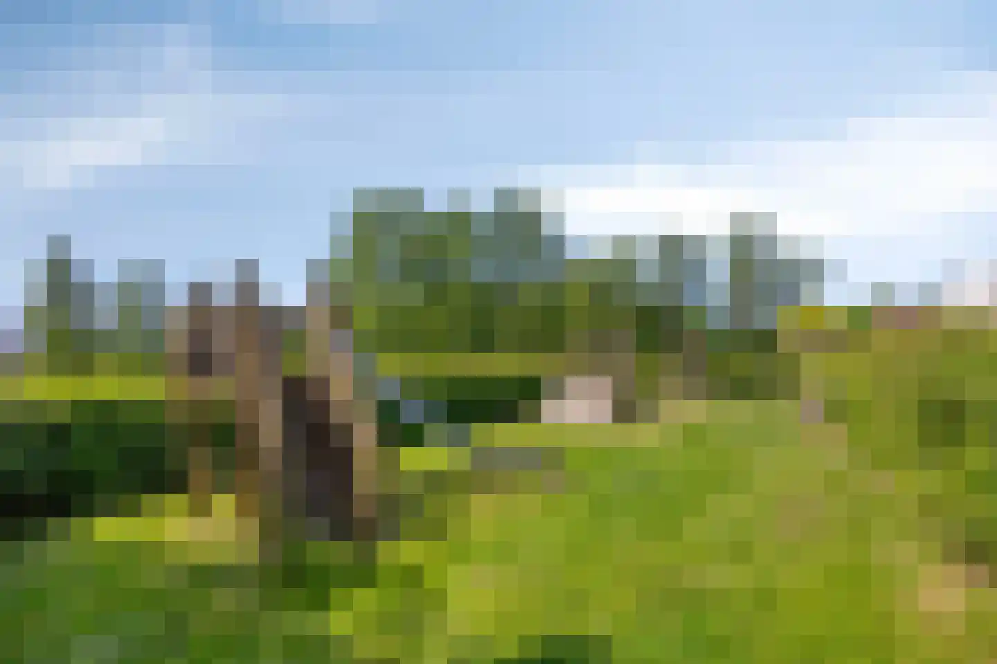 Humsterlandlaan 30 Groningen thumbnail 39