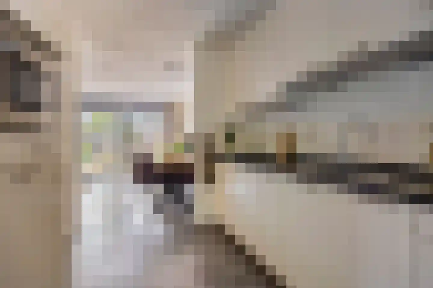 Humsterlandlaan 30 Groningen thumbnail 4