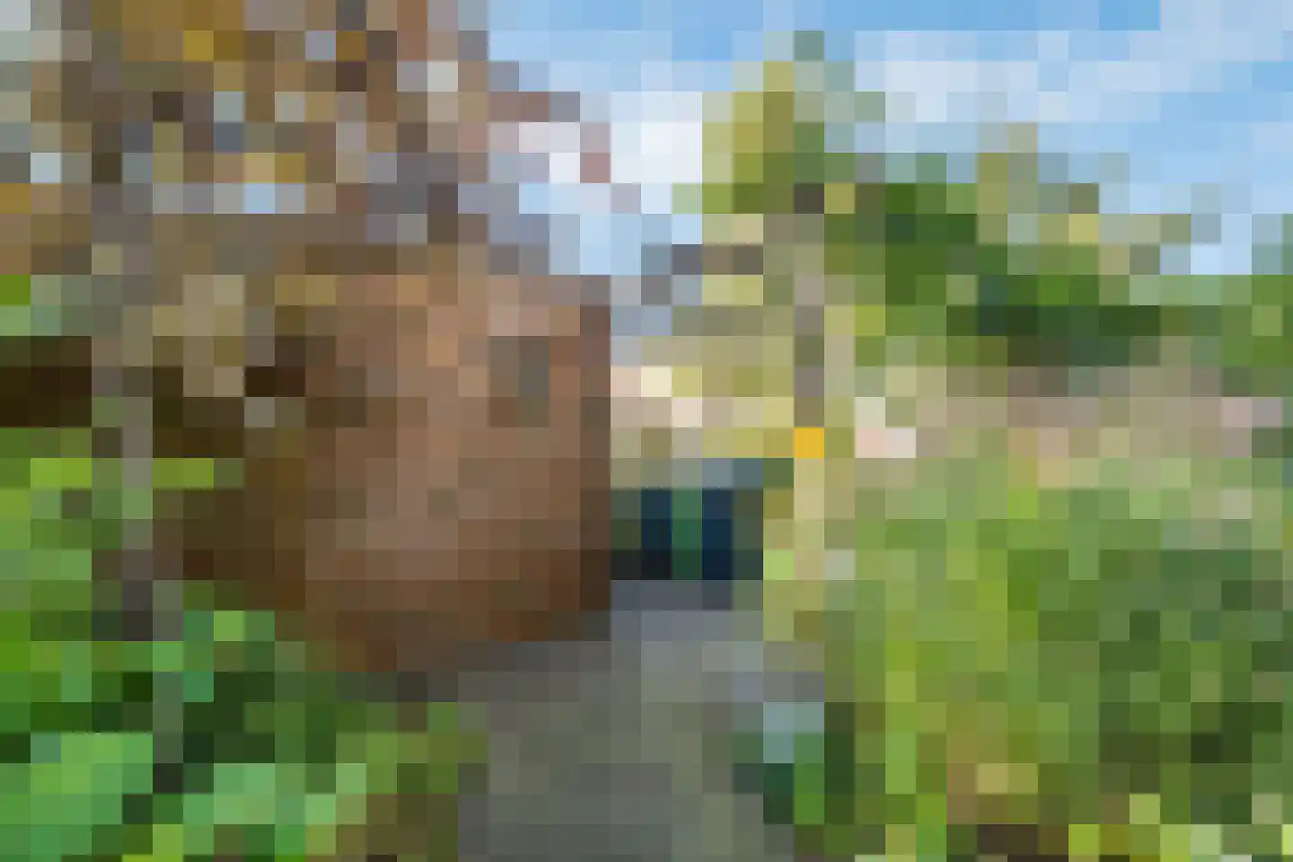 Humsterlandlaan 31 Groningen thumbnail 20