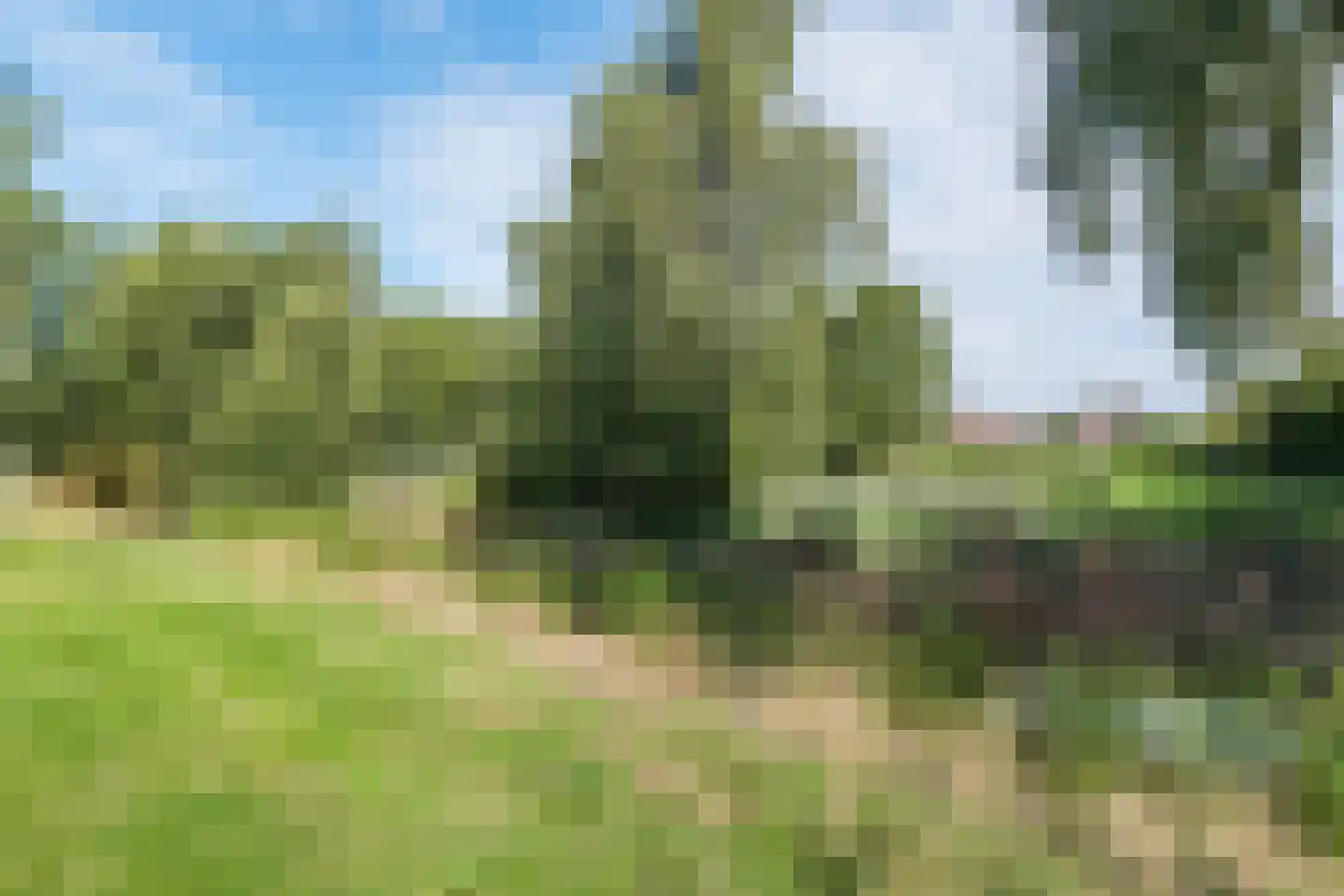 Humsterlandlaan 31 Groningen thumbnail 37