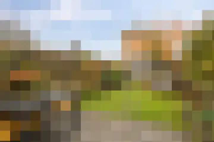Humsterlandlaan 35 Groningen thumbnail 33