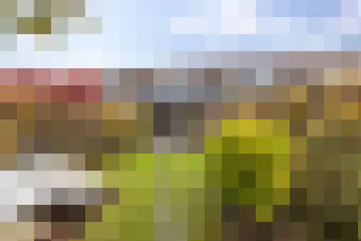 Humsterlandlaan 35 Groningen thumbnail 35