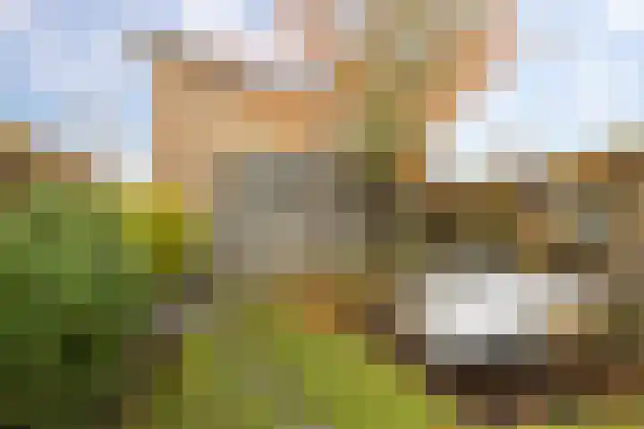 Humsterlandlaan 35 Groningen thumbnail 36