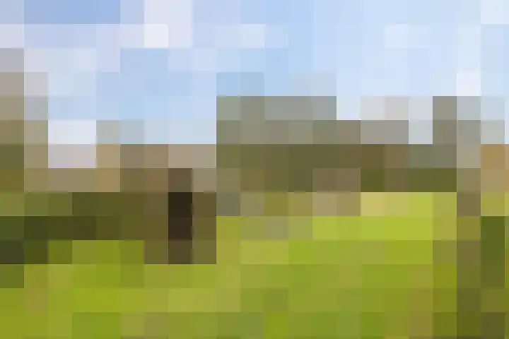 Humsterlandlaan 35 Groningen thumbnail 40