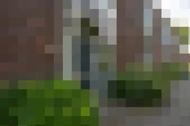 Humsterlandlaan 9 Groningen thumbnail 12