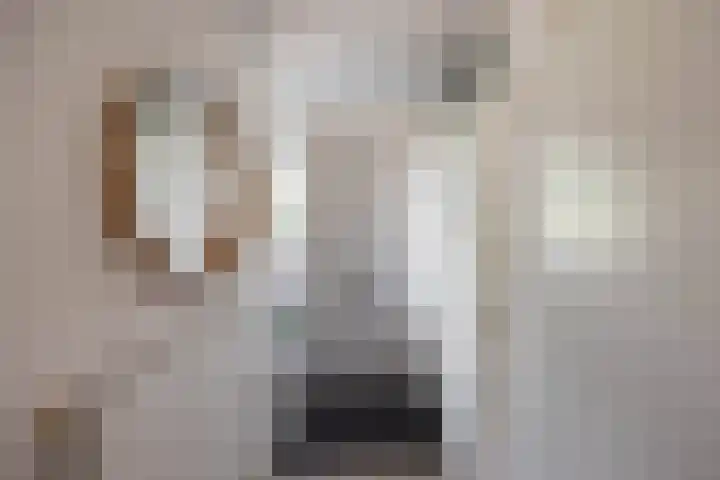 Humsterlandlaan 9 Groningen thumbnail 13