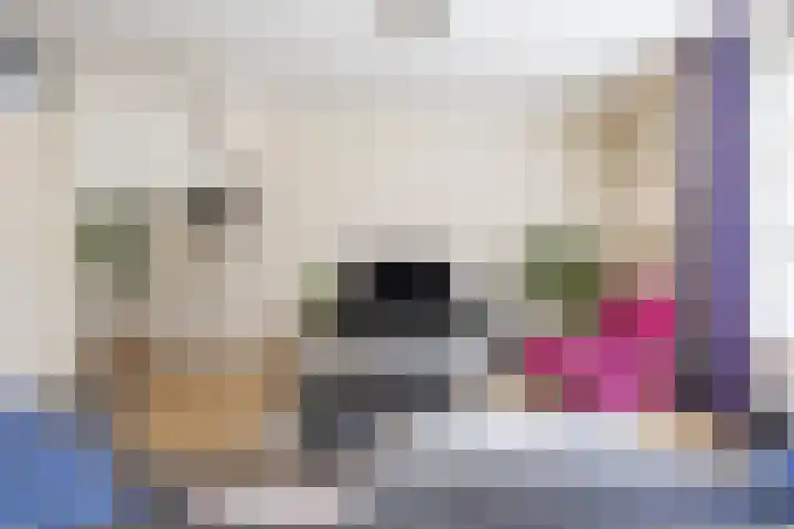 Humsterlandlaan 9 Groningen thumbnail 20