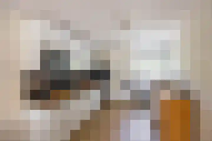 Humsterlandlaan 9 Groningen thumbnail 23