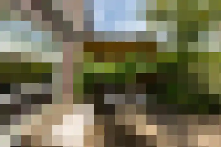 Humsterlandlaan 9 Groningen thumbnail 26