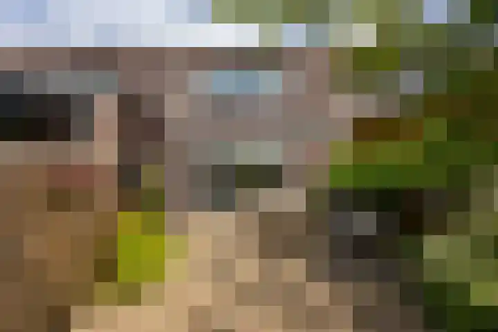 Humsterlandlaan 9 Groningen thumbnail 27