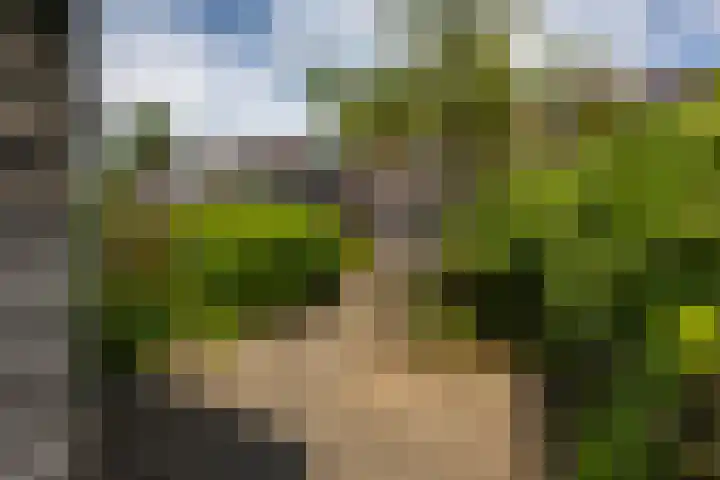Humsterlandlaan 9 Groningen thumbnail 28