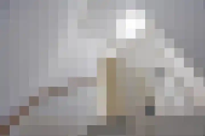 Humsterlandlaan 9 Groningen thumbnail 31