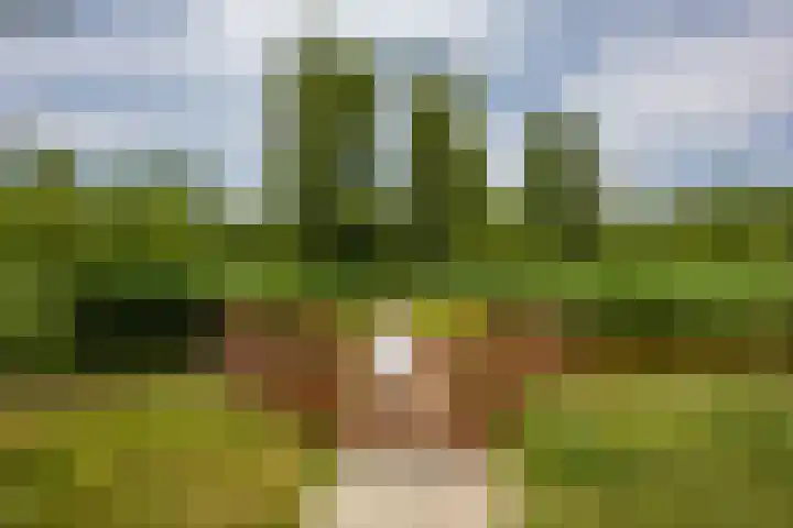 Humsterlandlaan 9 Groningen thumbnail 7