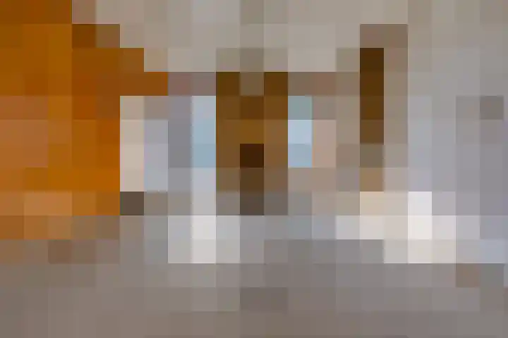 Hunebedstraat 18 Borger thumbnail 7