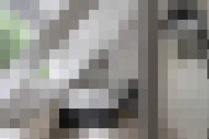 Hunenbaan 4 Emmen thumbnail 25