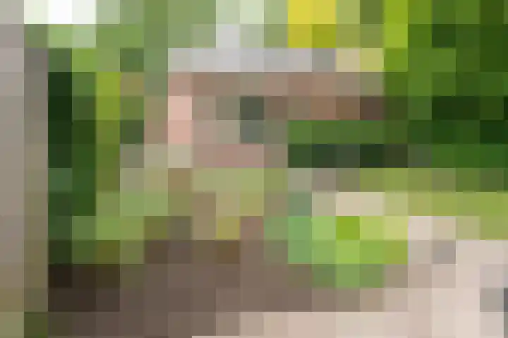 Hunenbaan 4 Emmen thumbnail 31