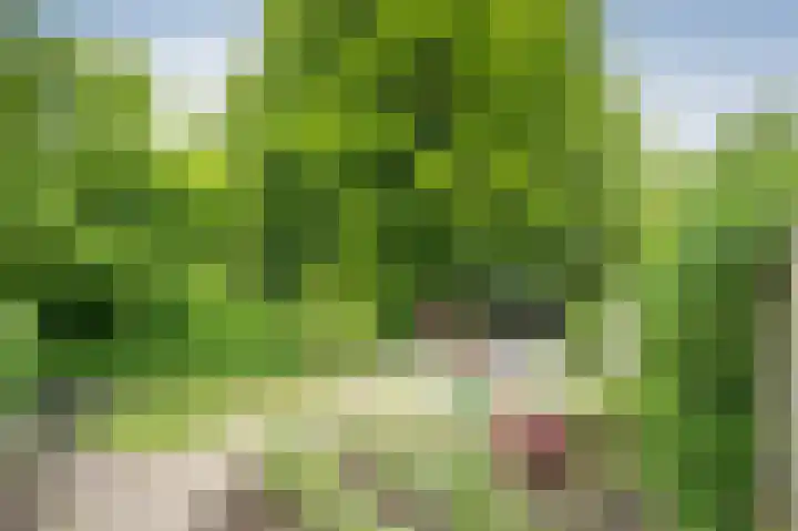 Hunenbaan 4 Emmen thumbnail 33