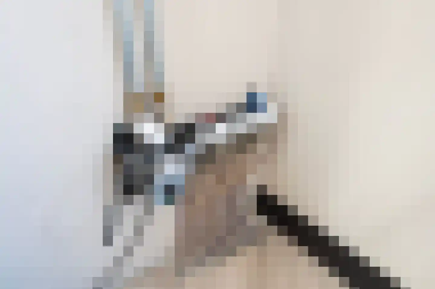 Hunenborg 16 Hengelo thumbnail 40