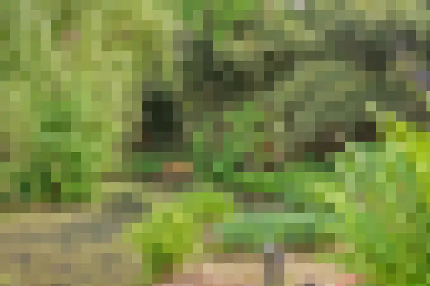 Hunenborg 5 Eindhoven thumbnail 21
