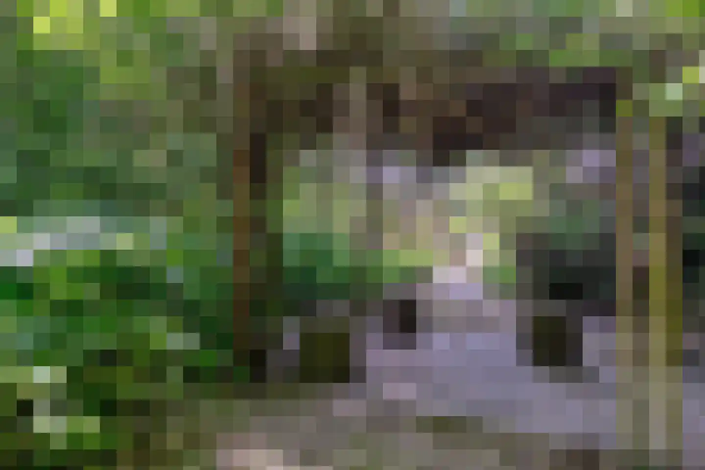 Hunenborg 5 Eindhoven thumbnail 22