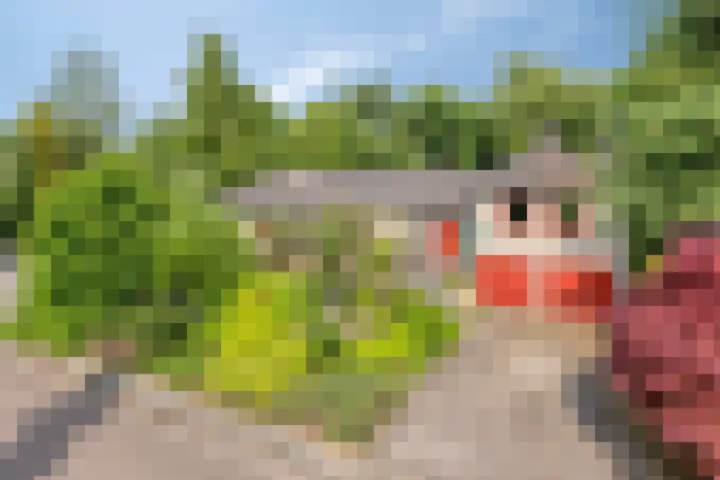 Hunenborg 5 Eindhoven thumbnail 24