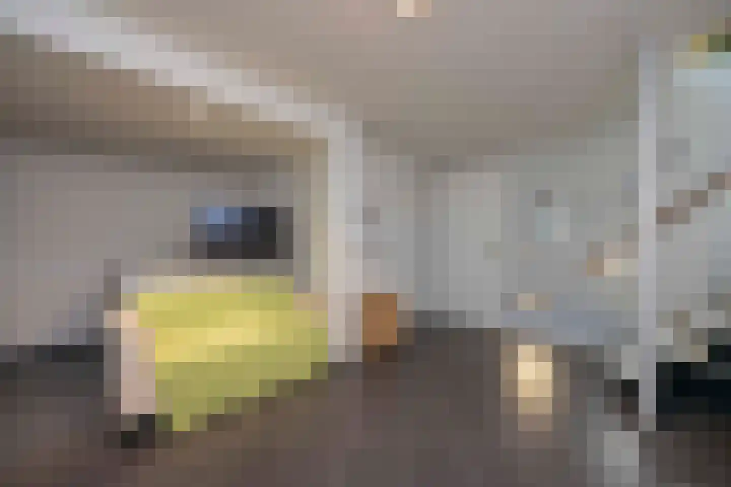 Hunenborg 5 Eindhoven thumbnail 36