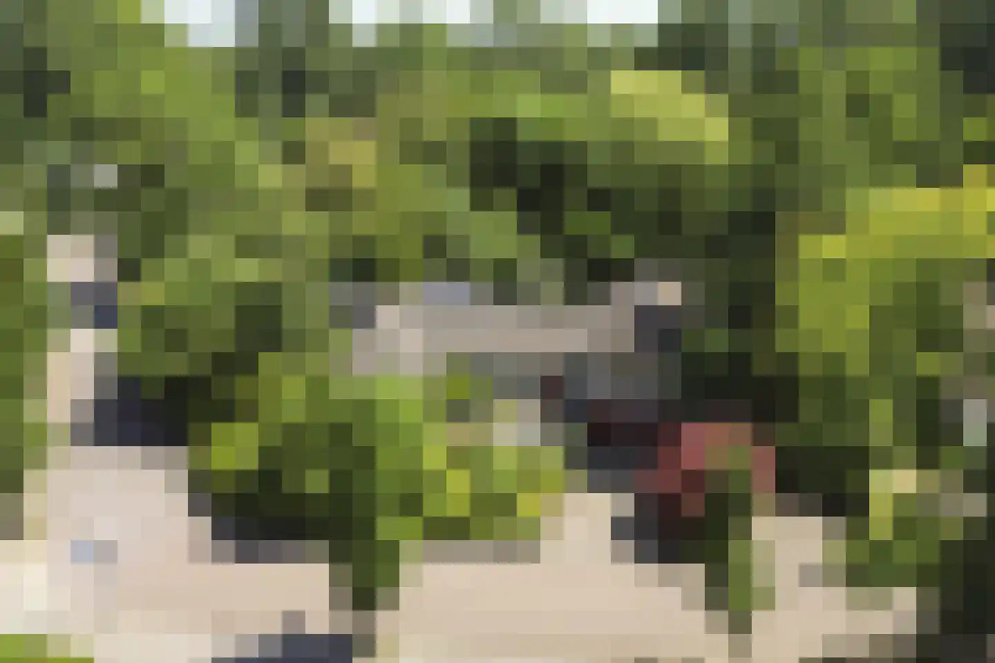Hunenborg 5 Eindhoven thumbnail 4
